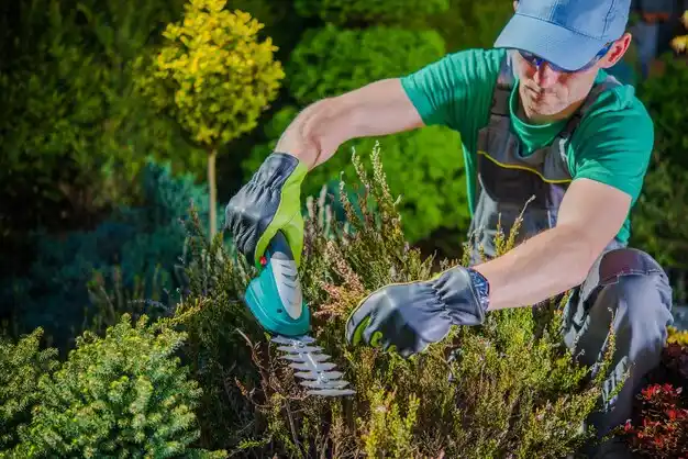 landscaping services Kirkwood
